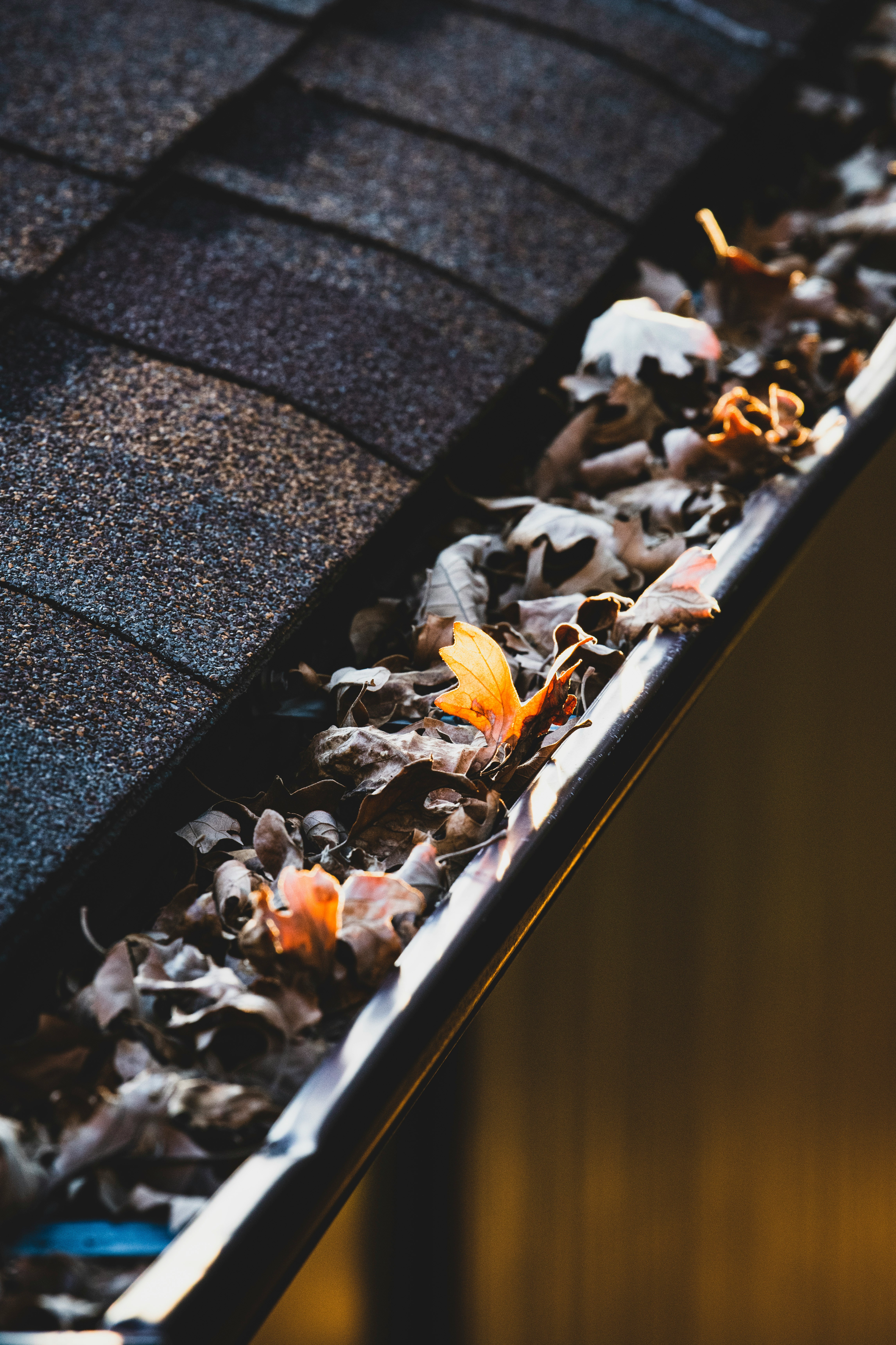 residential roof